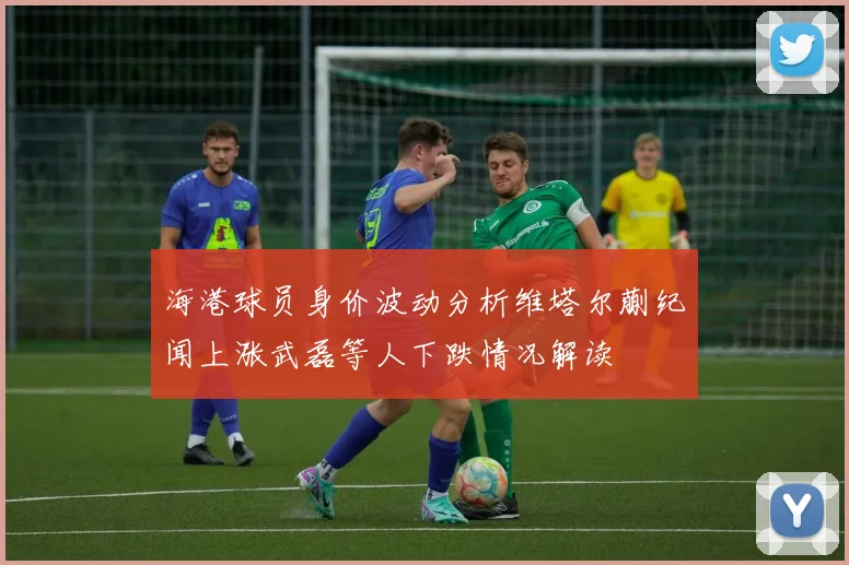 海港球员身价波动分析维塔尔蒯纪闻上涨武磊等人下跌情况解读