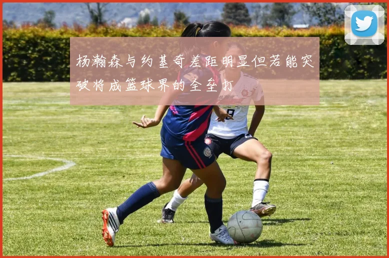杨瀚森与约基奇差距明显但若能突破将成篮球界的全垒打