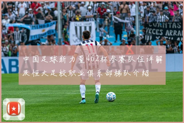 中国足球新力量462杯参赛队伍详解及恒大足校职业俱乐部梯队介绍