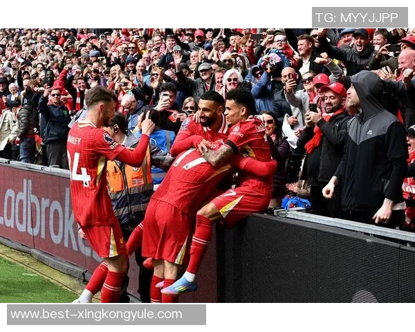 利物浦夺冠游行司机因路怒症撞人认罪引发关注